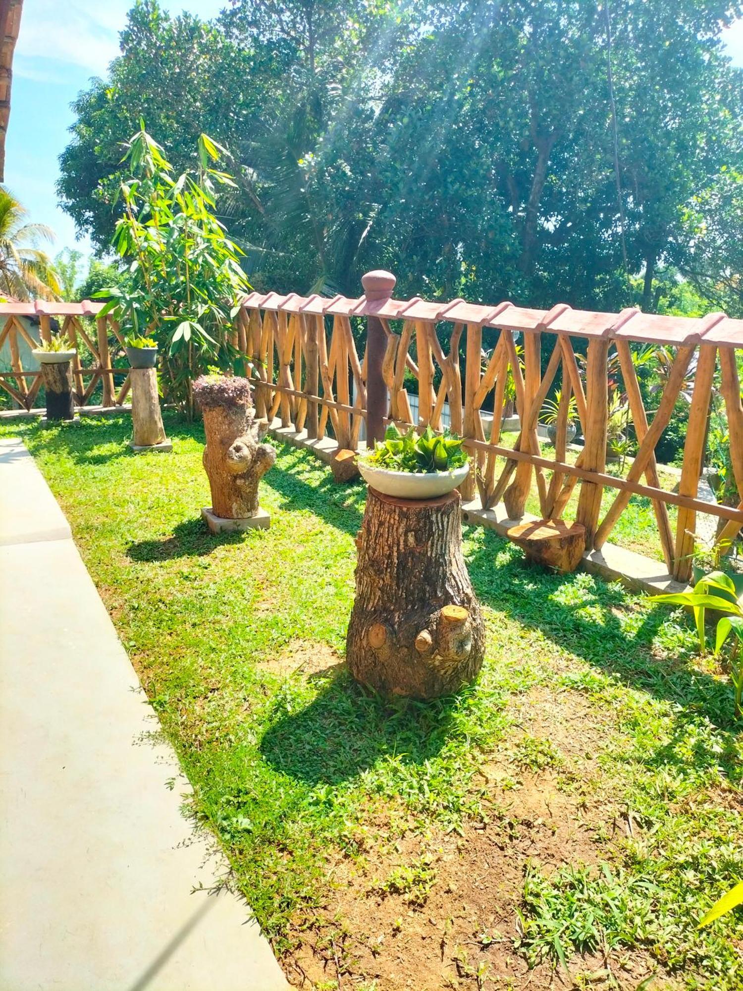 Blue Ocean Tree House Hiriketiya Dickwella Exterior foto